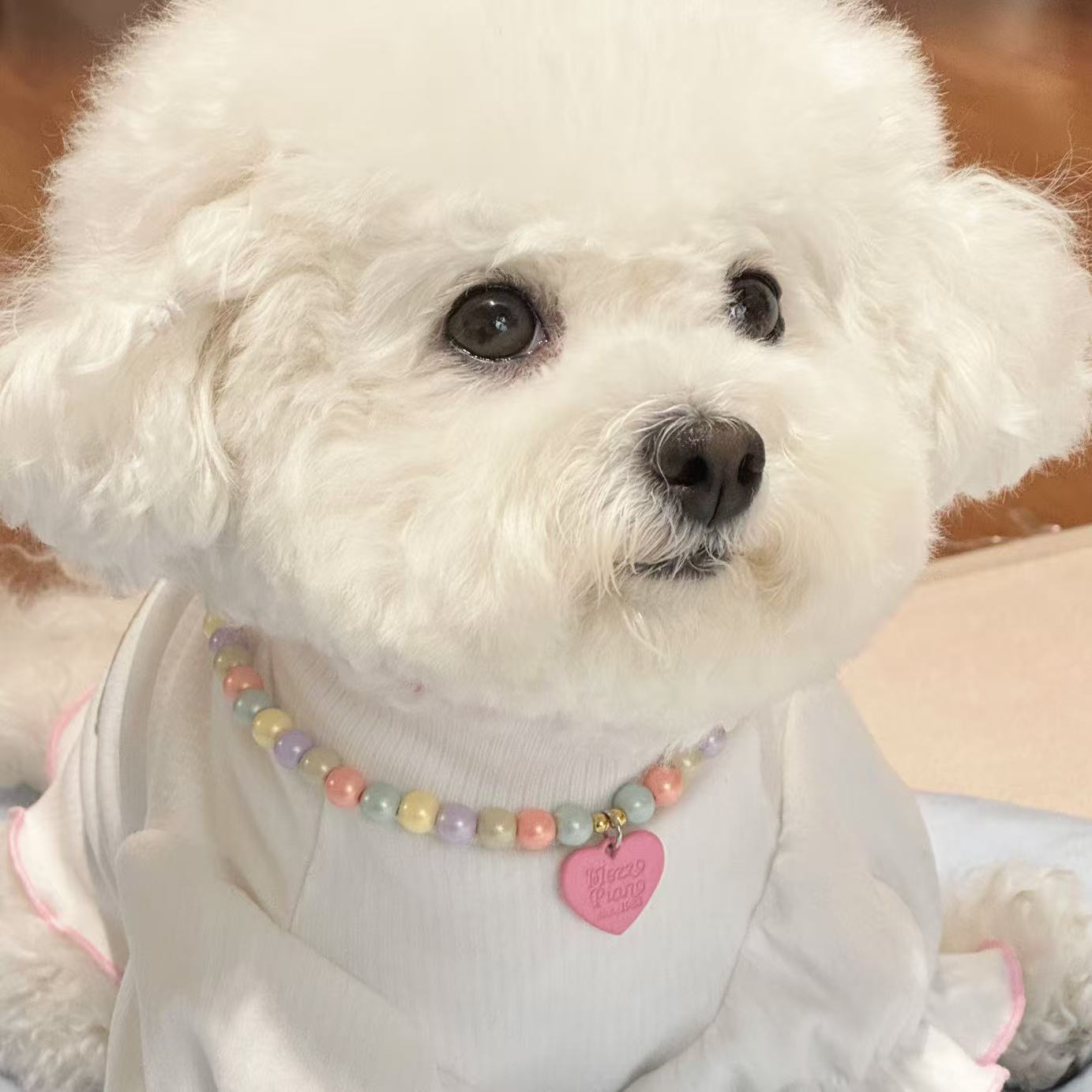 狗狗猫咪宠物项圈马卡龙色爱心吊坠小型犬雪纳瑞比熊泰迪饰品项链