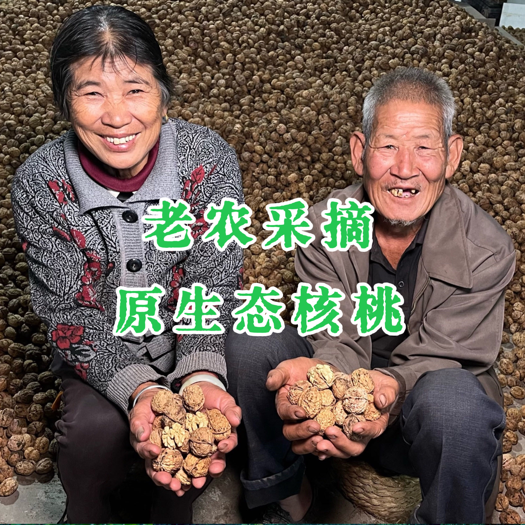 野生原生态核桃老农采摘老树薄皮核桃（送加厚夹子）新货老品种孕妇