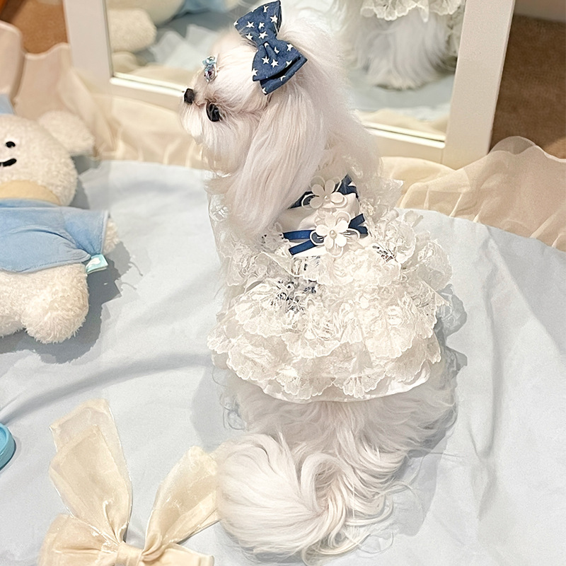 安贝妮宠物衣服夏季幼犬裙子小型犬狗狗马尔济斯西施连身裙公主裙