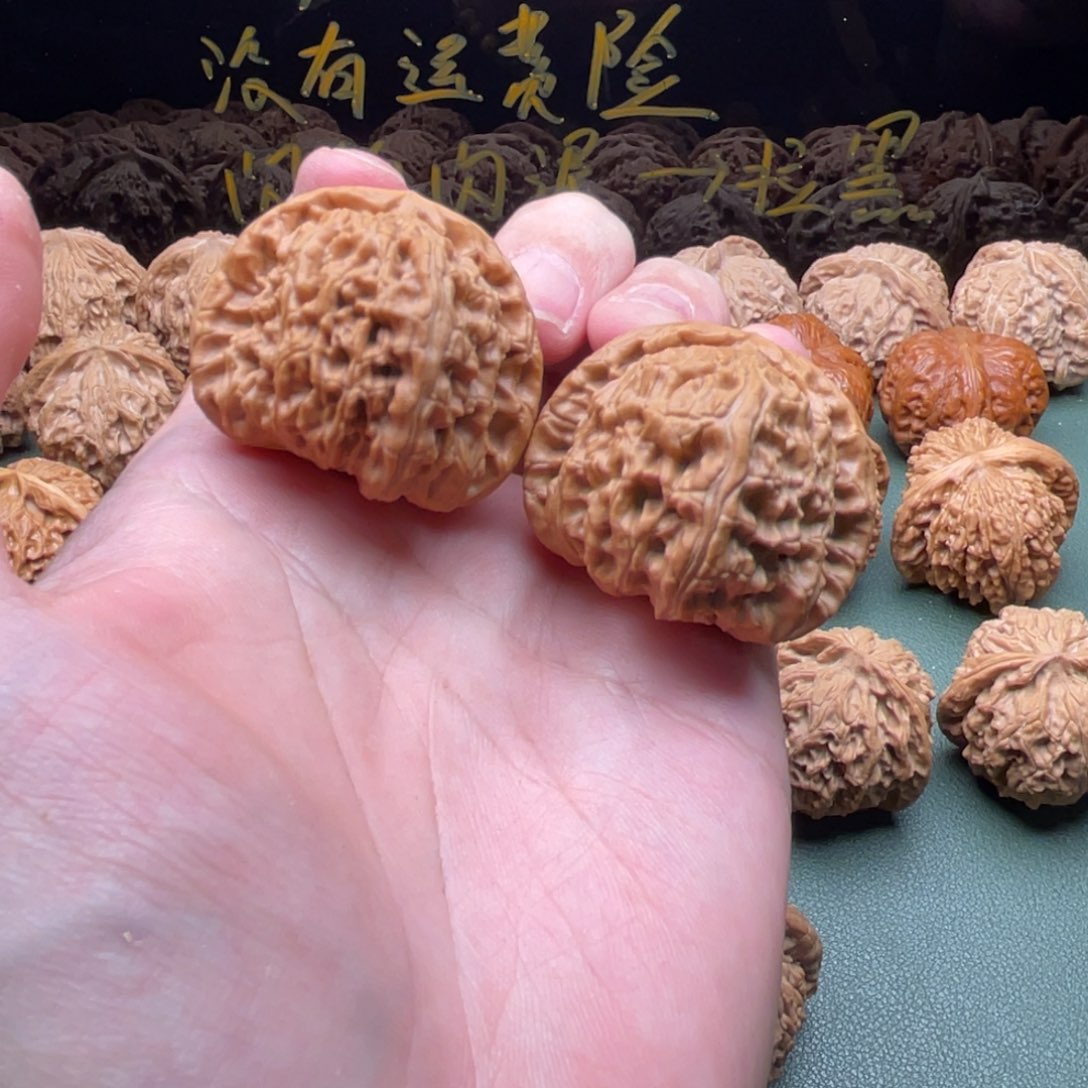 核桃把件40球白狮子，已经打底