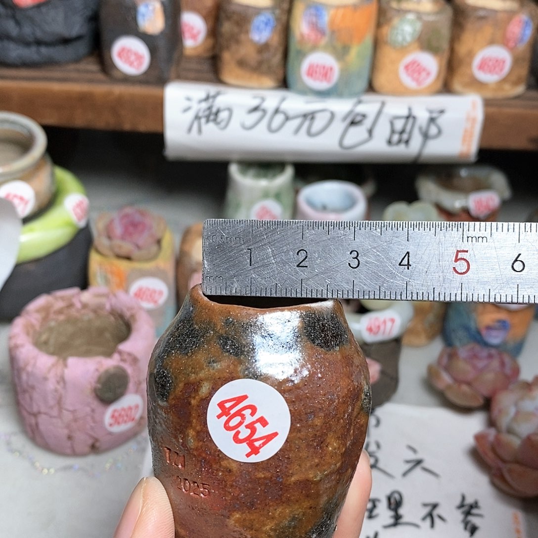 红陶拍5送一个小