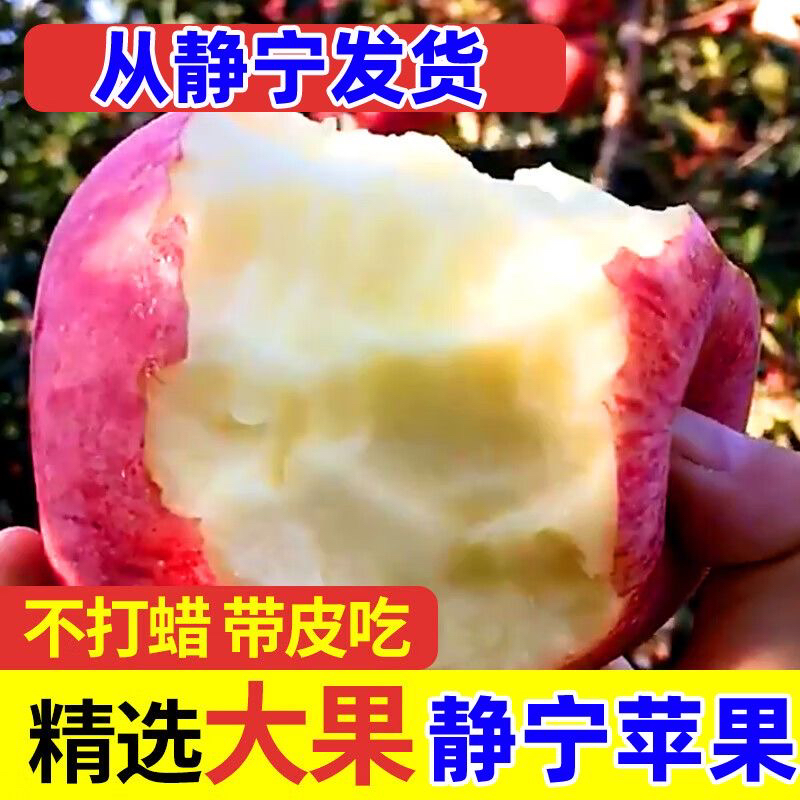 2025甘肃静宁红富士苹果新鲜现摘当季应季脆甜多汁丑苹果整箱包邮