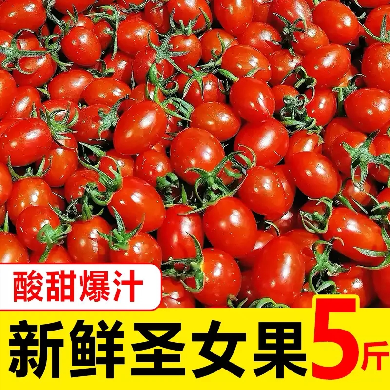 【头茬】正宗广西圣女果5斤装小番茄柿子小西红柿酸甜水果塑料盒装