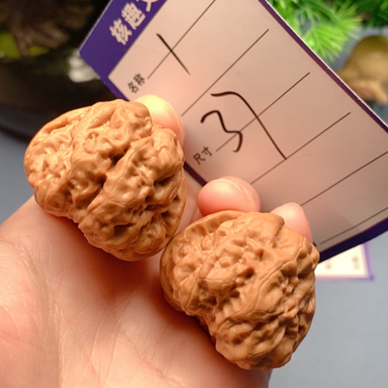 【闪购商品】文玩核桃把件蛙蛙