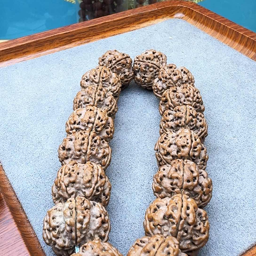 金刚菩提手串天然纽扣梅花