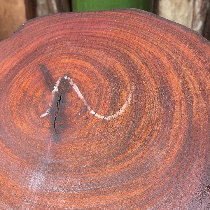 外***水木小叶紫檀小叶紫檀