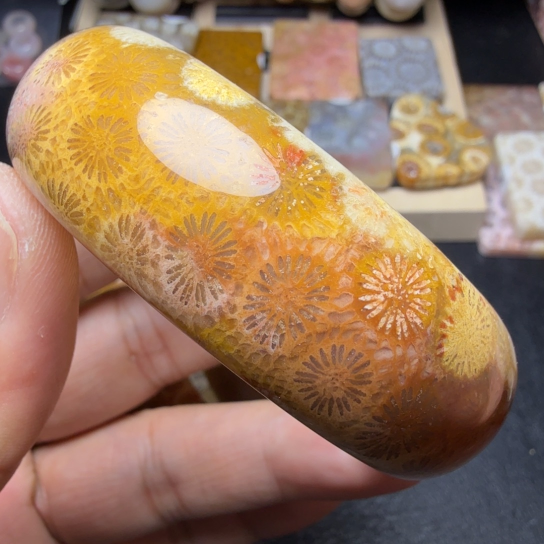 硅化玉未镶嵌纯天然色有机玉石保真色56圈口