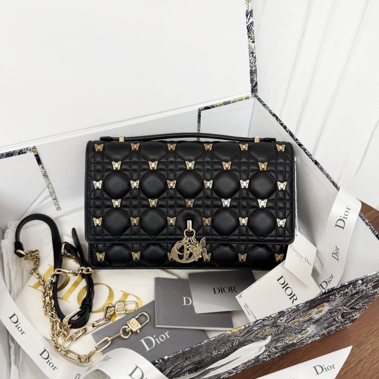 99新/迪奥/单肩包/C6847230821/[251217SWB]