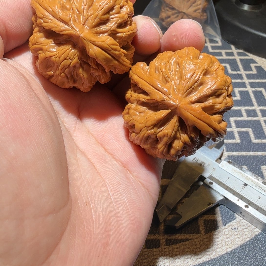 文玩核桃把件红锦鲤