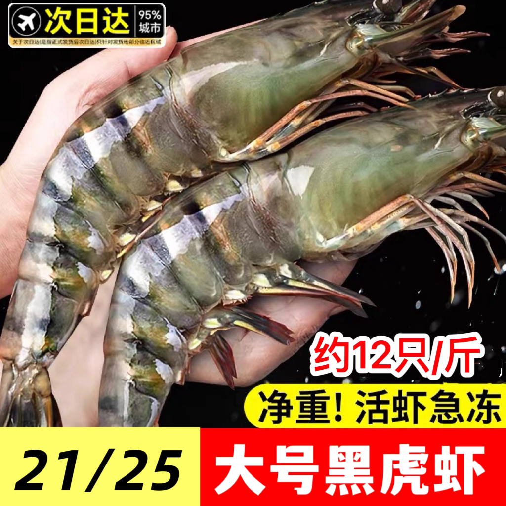 【0冰衣】2125规格鲜活黑虎虾大号无冰净重黑虎虾海捕活虾速冻