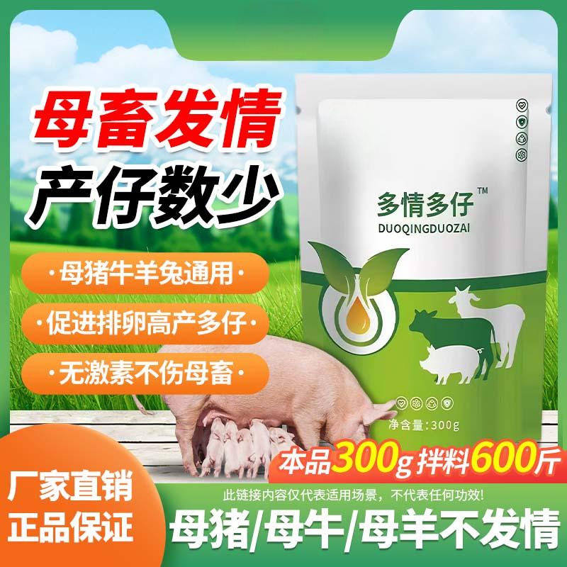专属-多情多仔300g【多买多送】狗狗可用添加剂厂家直销正品保证-ZK商品图