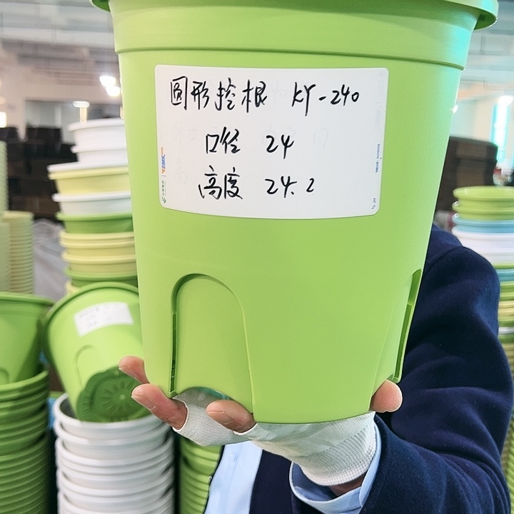 正品圆控口24高24果绿8只带托