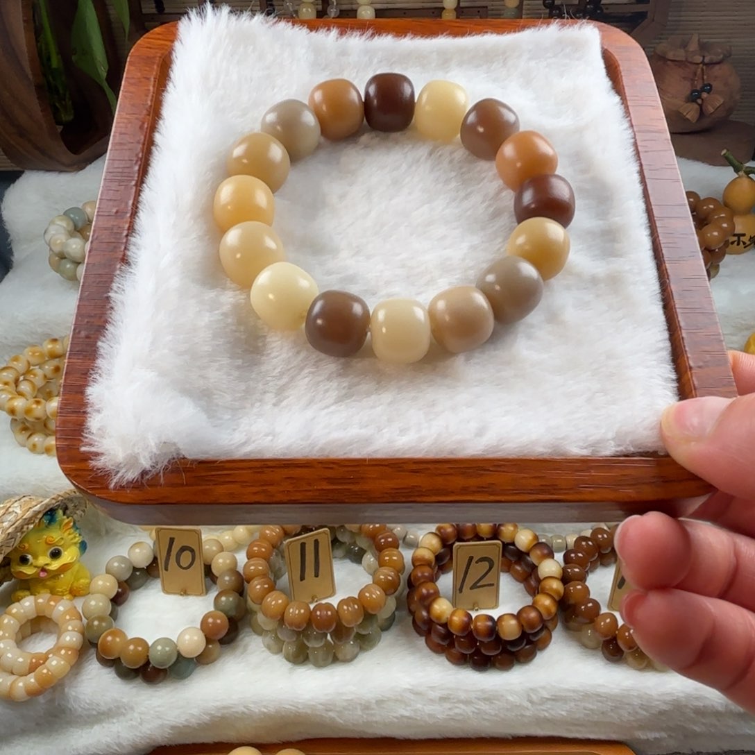 菩提根/象牙果手串卡14干磨奶咖色