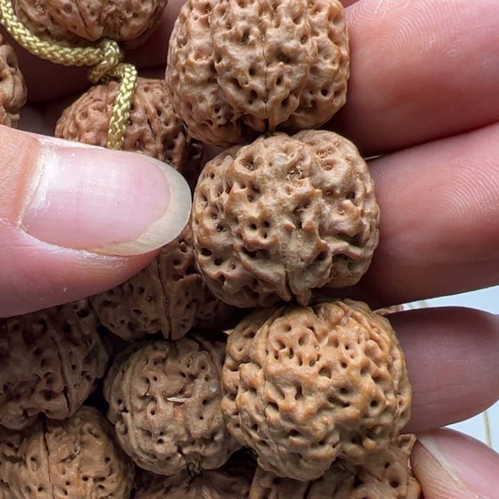 金刚菩提吊坠5瓣20梅花蜂窝