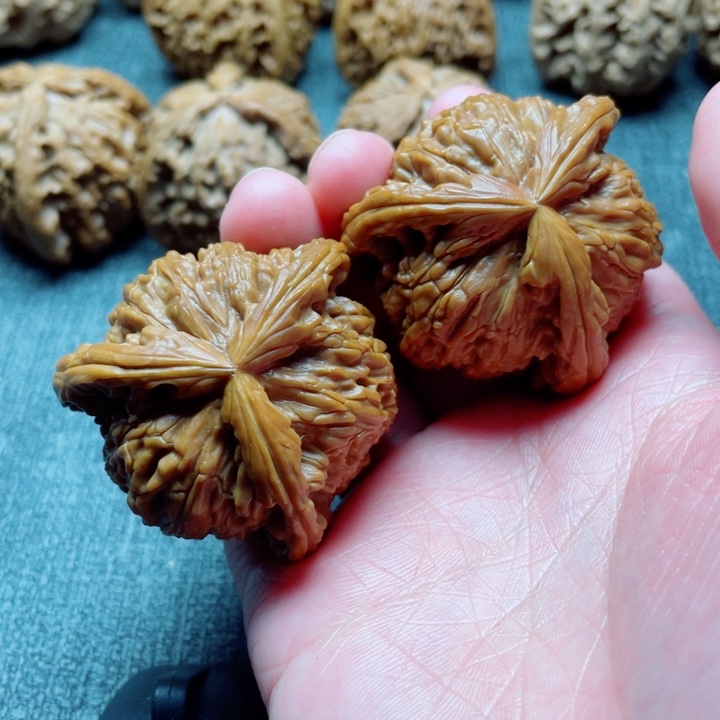 哦*手工三棱白狮子三棱