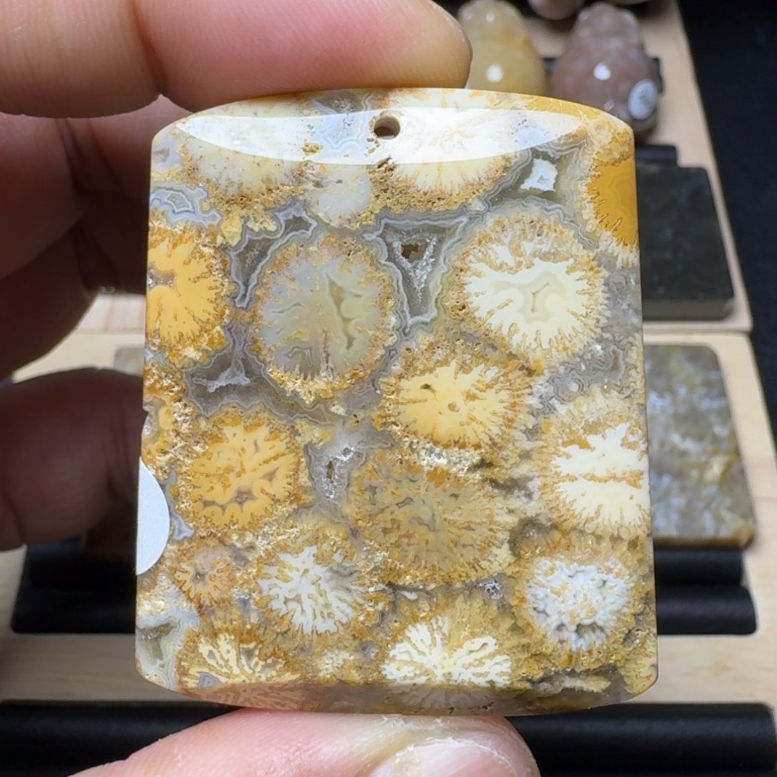 未镶嵌纯天然色有机玉石保真色硅化玉