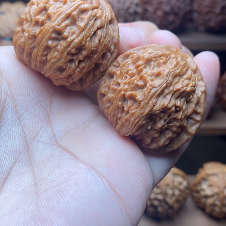 吊坠龙脊菩提白狮子36全品