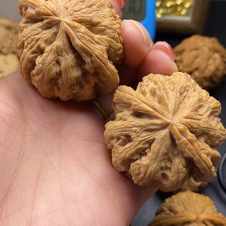 @***&龙脊菩提吊坠粗筋51