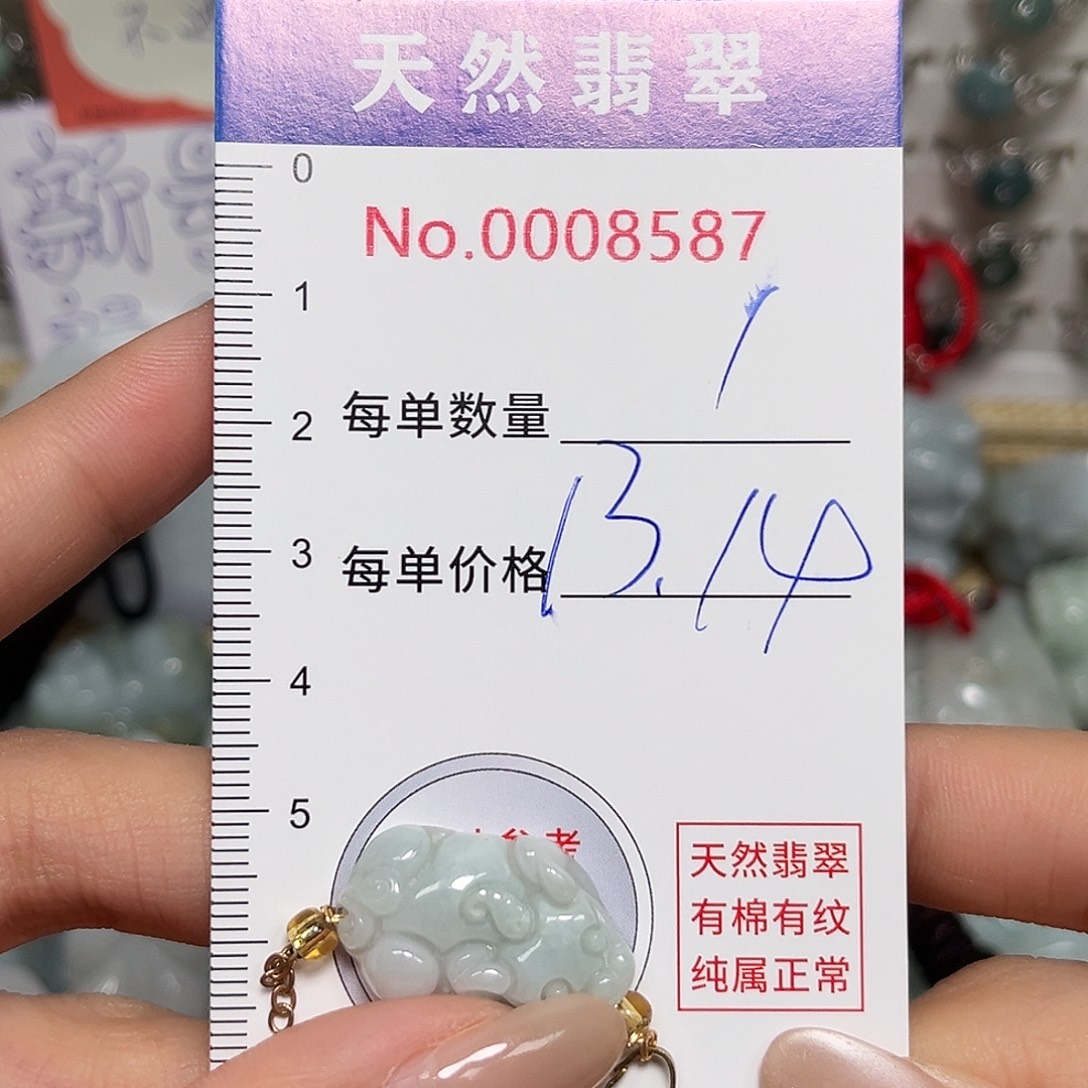 翡翠未镶嵌颈饰貔貅