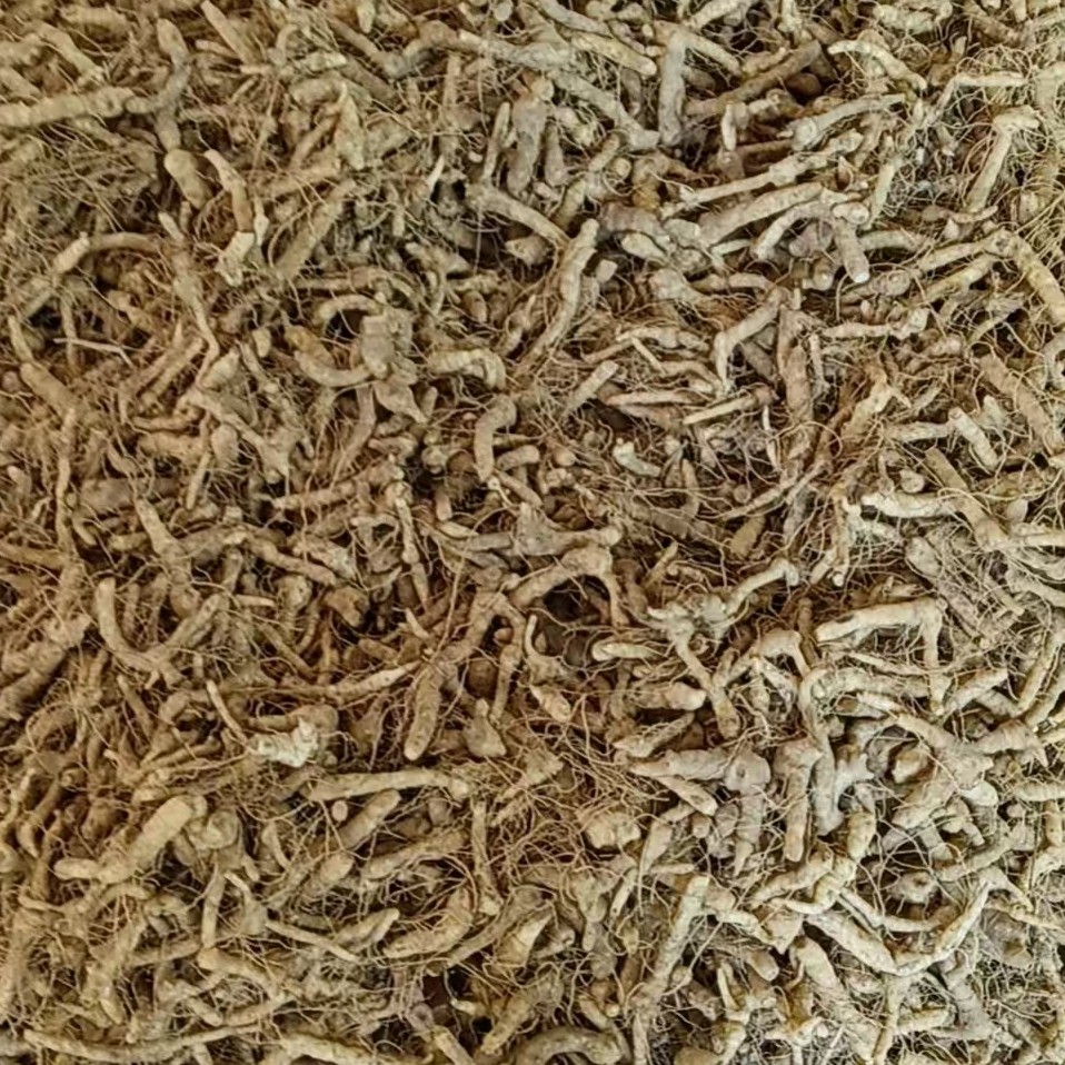 沂蒙山野生鸡头姜