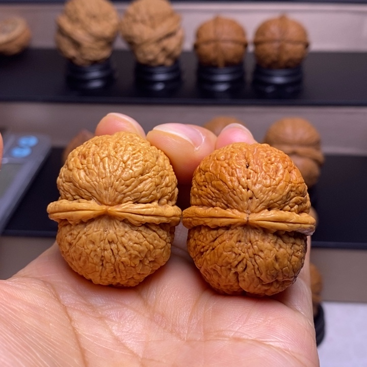 文玩核桃把件脑纹元宝45