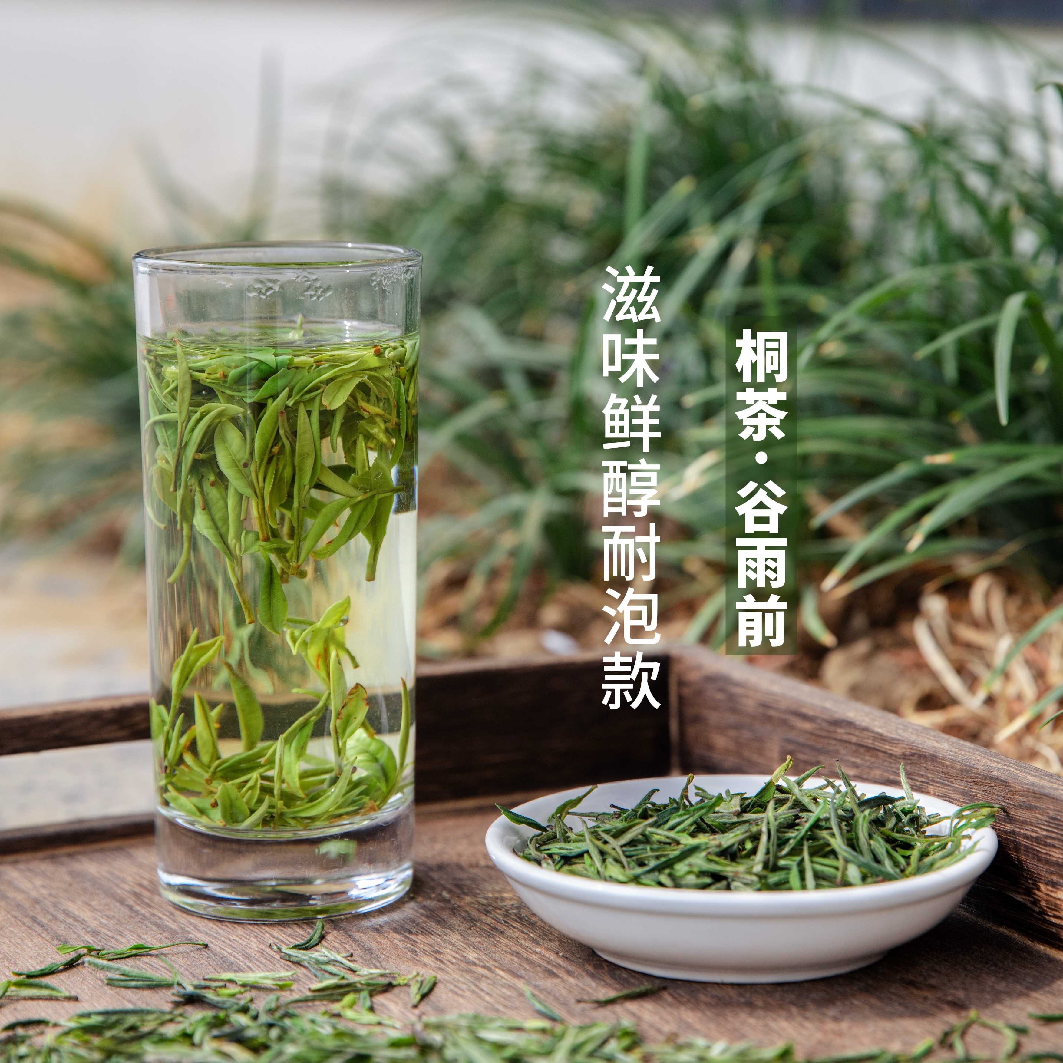 【2025谷雨前】龙眠山桐城小花高山绿茶春茶新茶浓香型早春茶叶