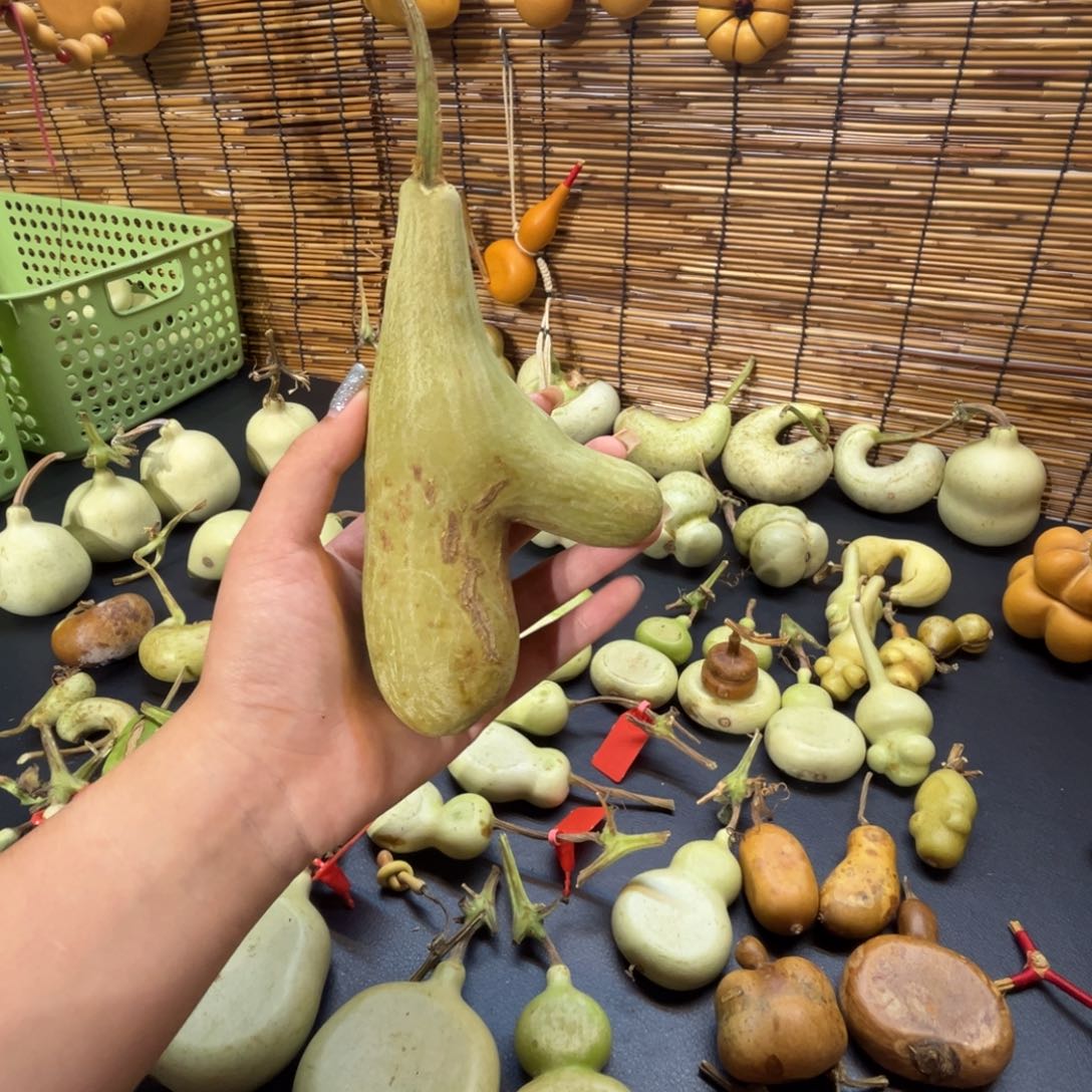 不包成哈哈哈哈哈哈