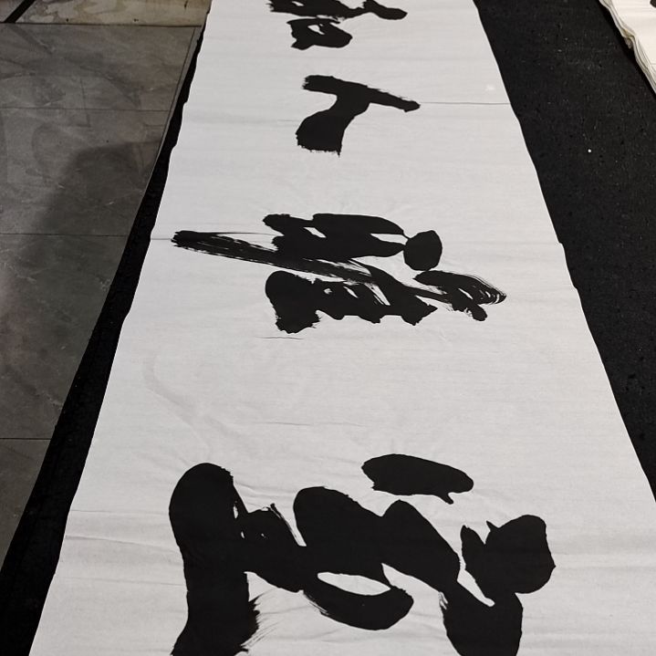 翰墨申国栋老师作品