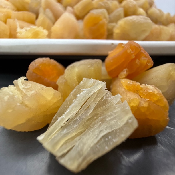 【马鲛仔海产冰冰】干贝瑶柱干 259/500g 无添加 顺丰包邮博贺港