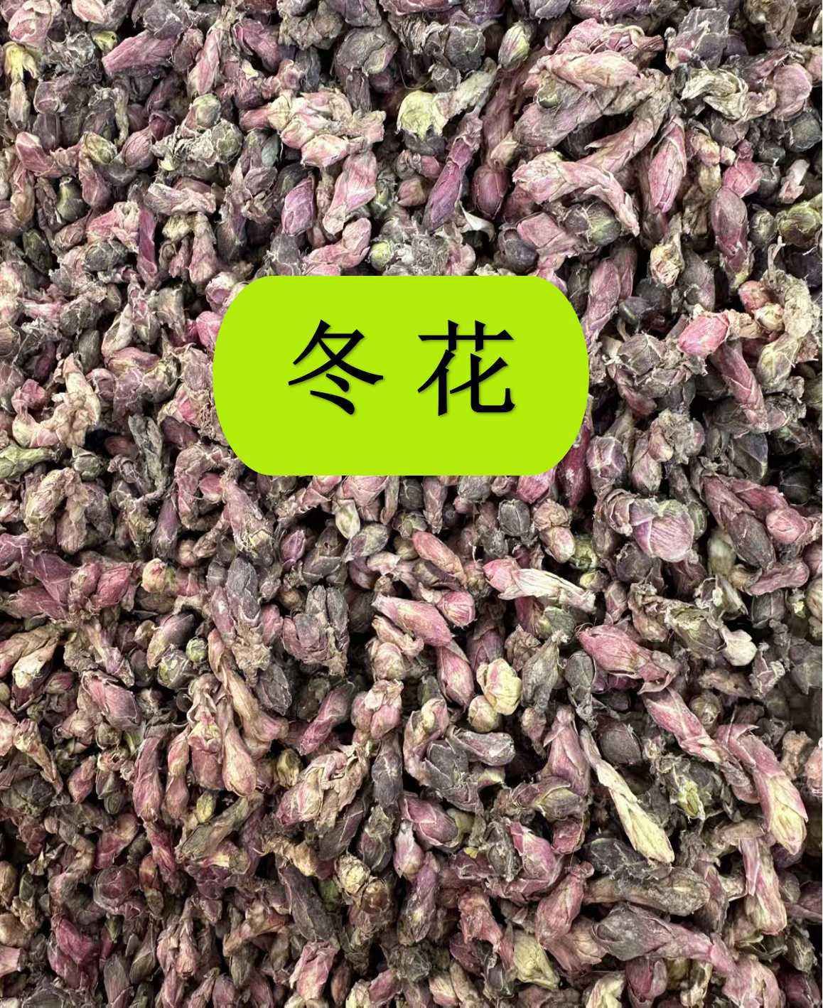 款冬花 甘肃陇南非种植款冬花冬花