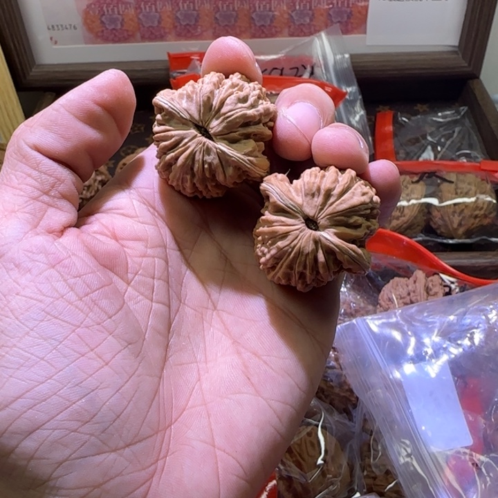 核桃手串/手链z****i四座楼