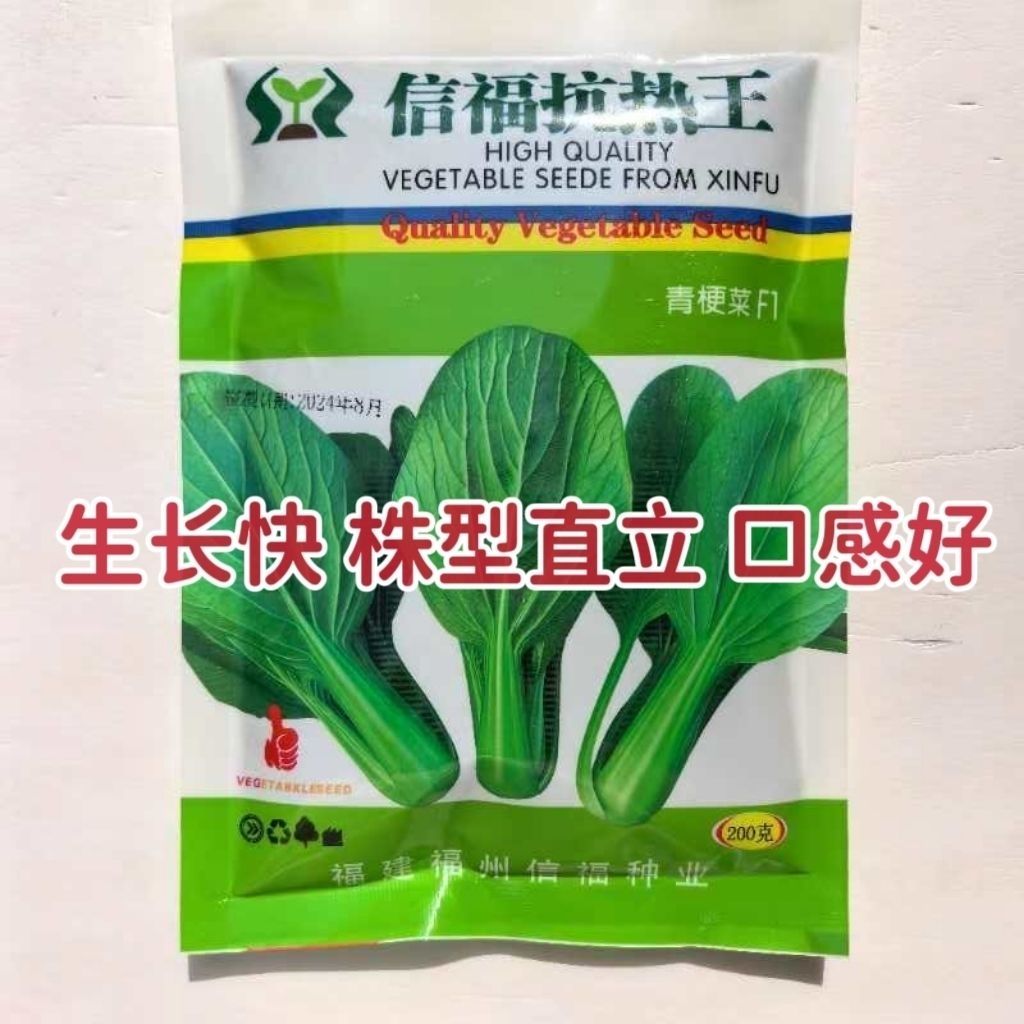 高产耐热耐湿青梗菜种子夏季抗热上海青油菜种籽