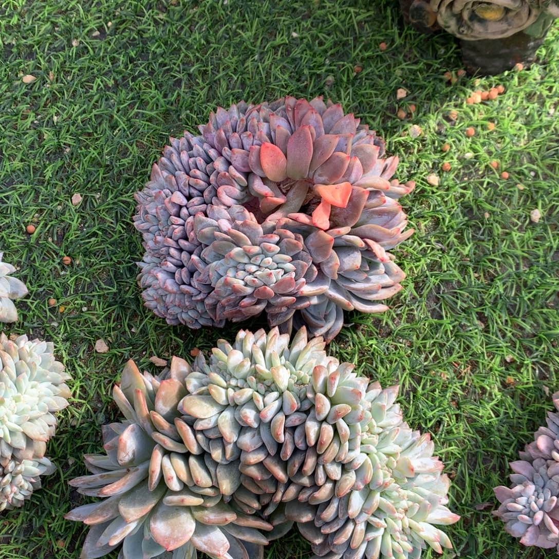 8***7730-729号新疆西藏内蒙古不包邮