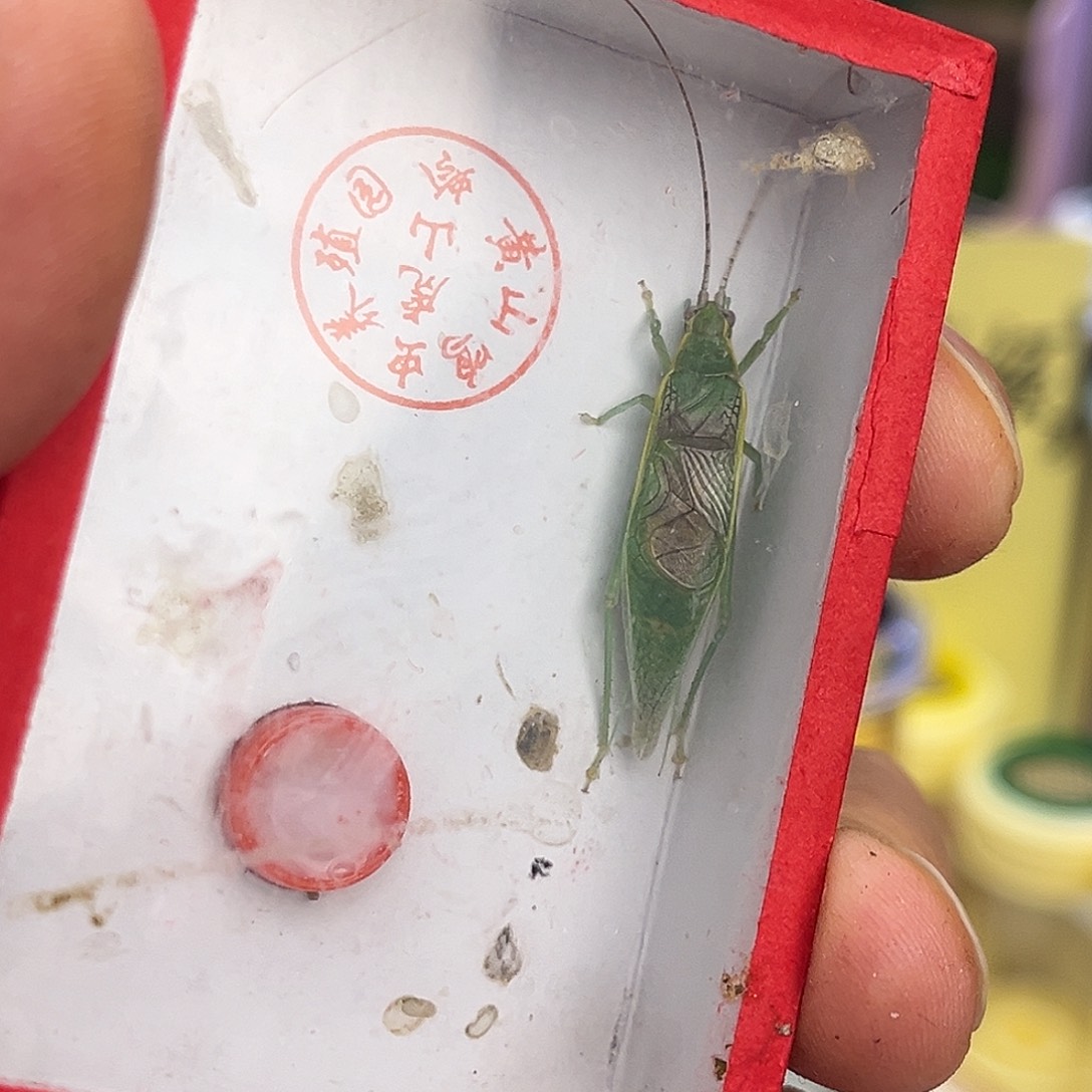 美***生2金钟哈哈哈哈哈哈哈哈