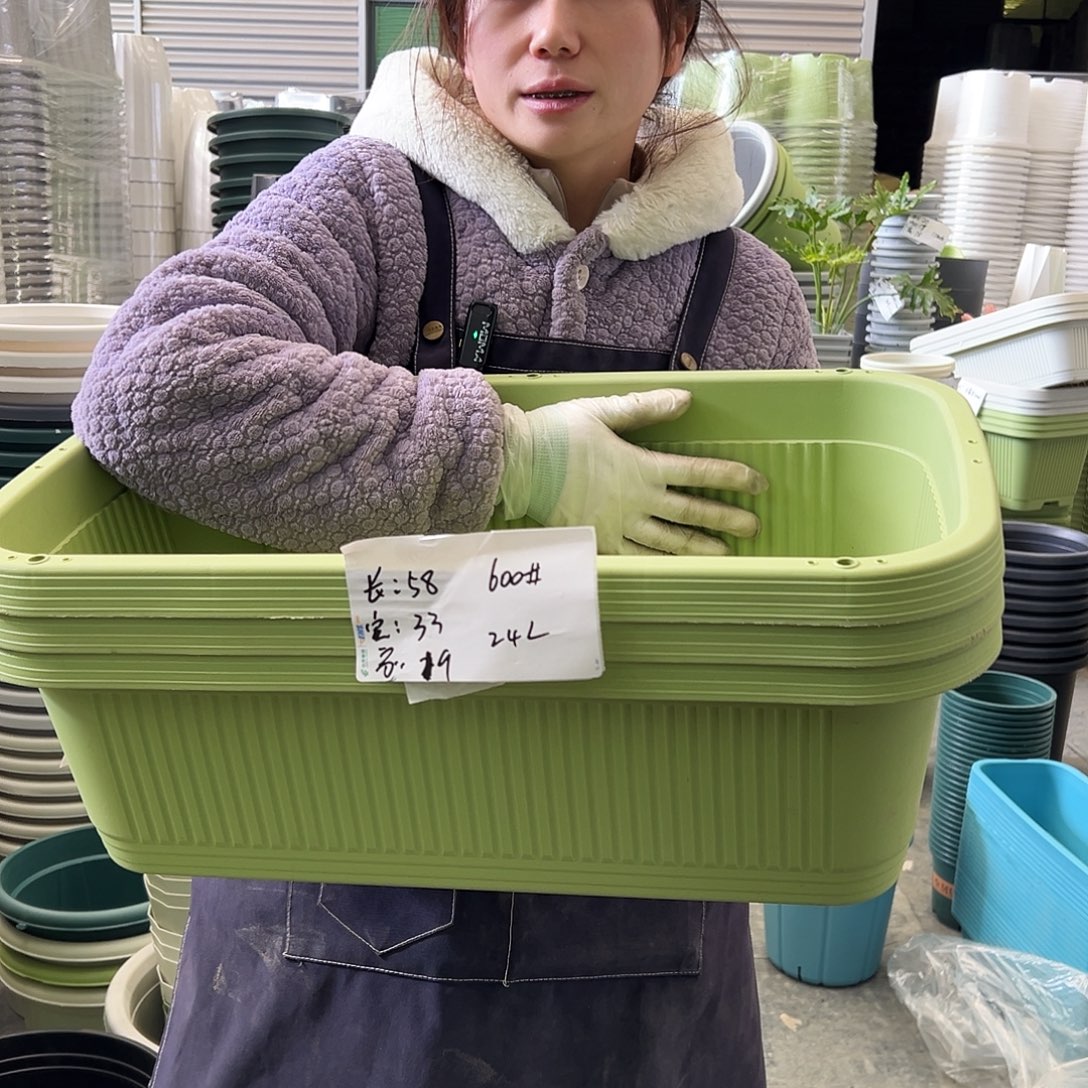 菜盆600#果绿3个无托
