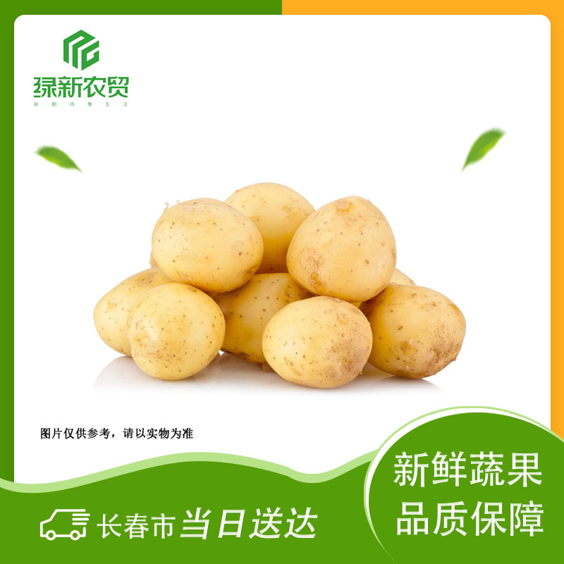 新土豆 约500g±50g/份
