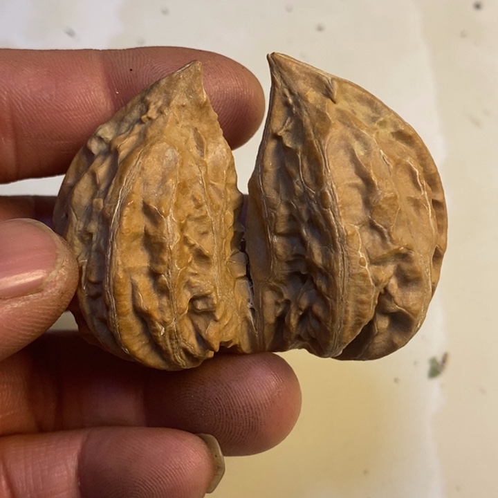 寿***禄桃核吊坠东北特产45
