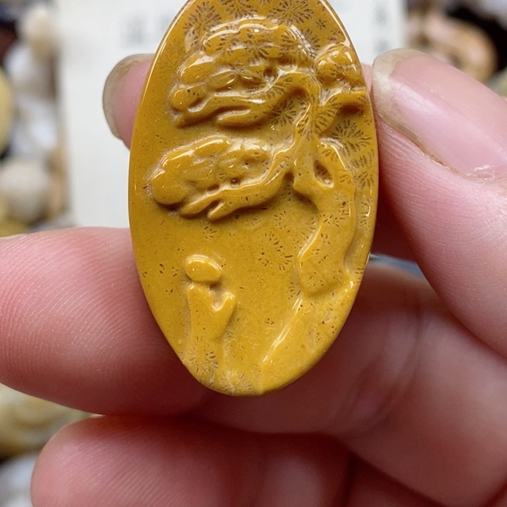 颈饰未镶嵌硅化珊瑚（珊瑚玉）小