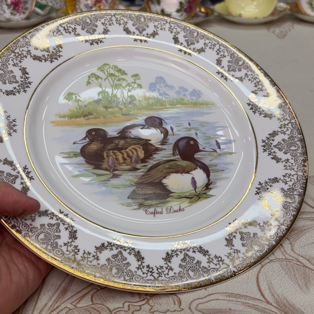 杯维多利亚欧洲中古