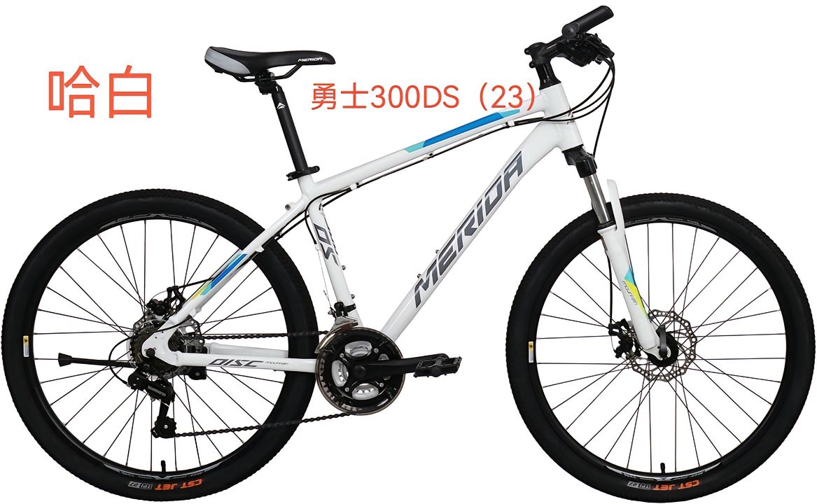美利达自行车勇士300ds