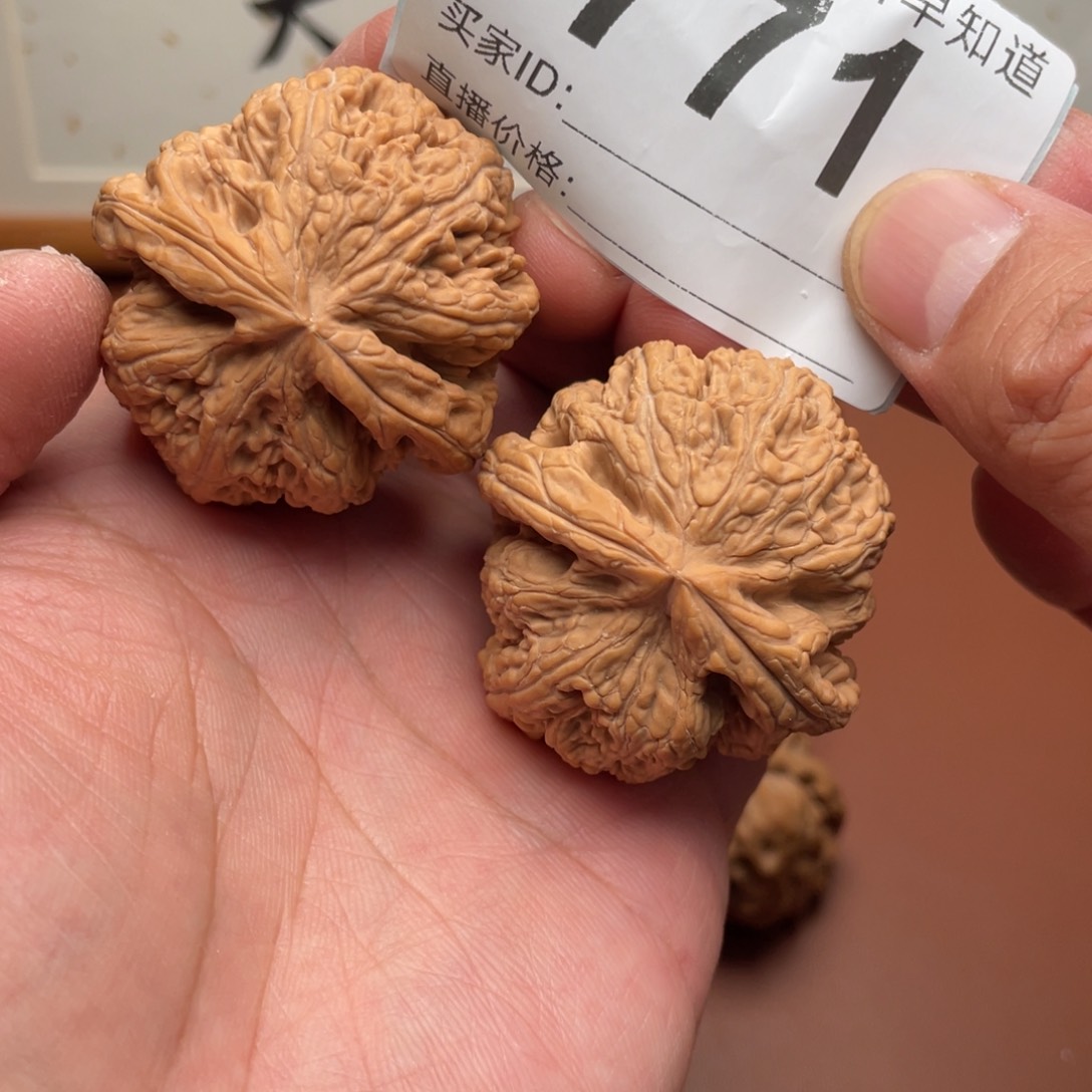 文玩核桃把件大粗筋龟背43