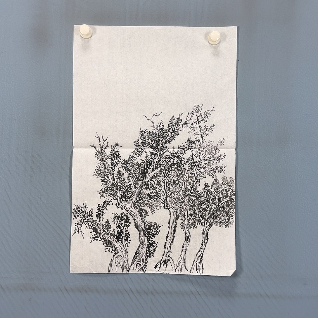 国画357 牡丹一如你