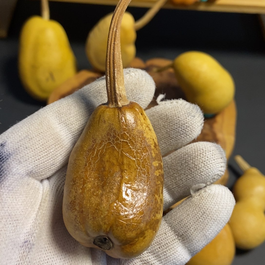 喝****e葫芦葫芦真的