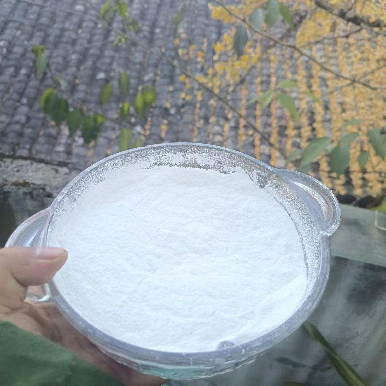 1【白-桦-树-粉-菇】净含量：250-1500g【小田现收】