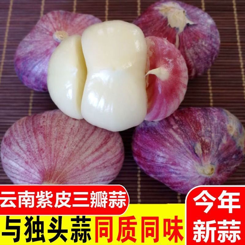 《云南现挖》三丫蒜元宝蒜整箱蔬菜炒菜辅料非独头蒜三瓣蒜批发整箱