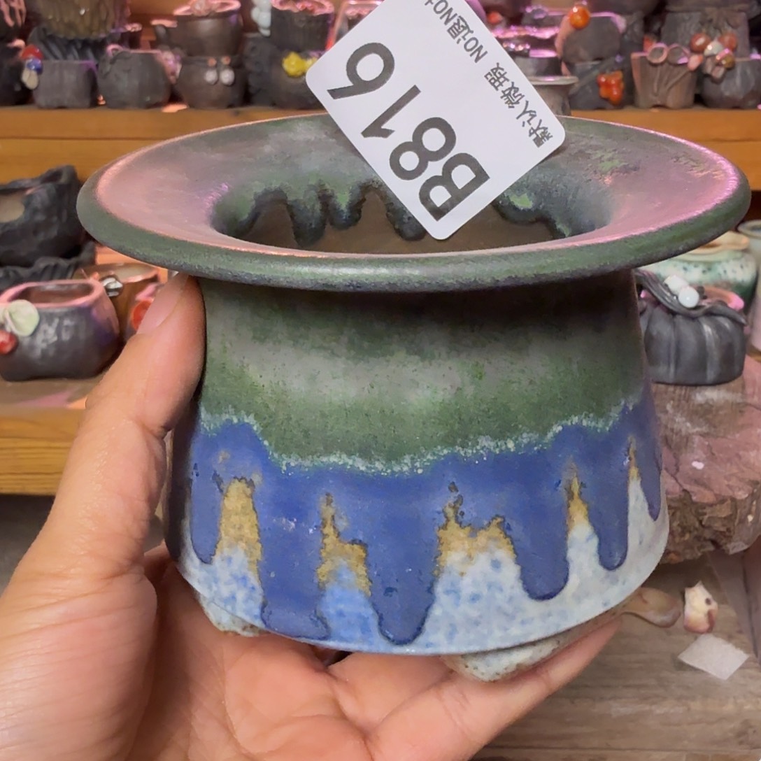 重庆小燕子欢迎大家816