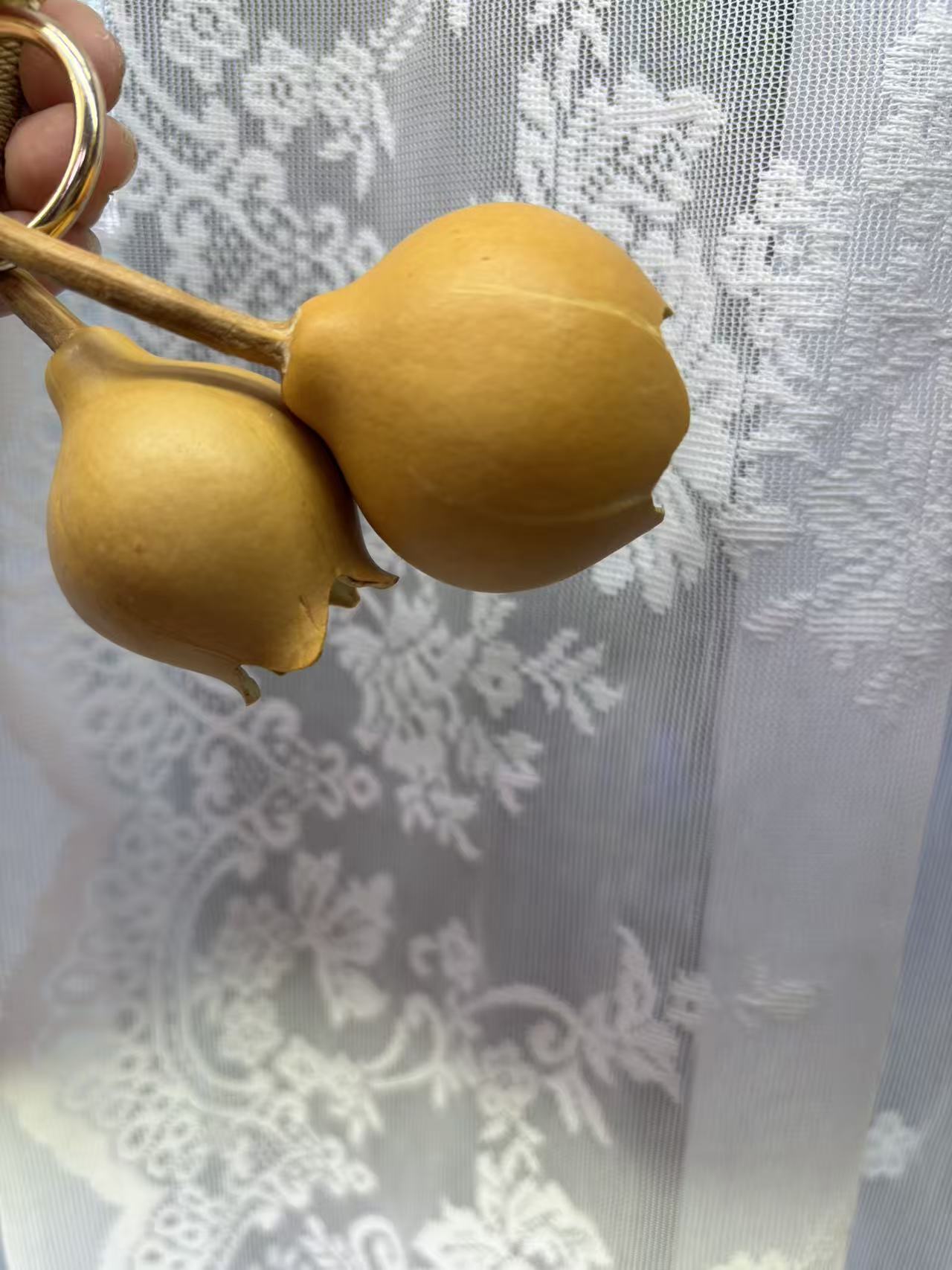 创意花朵|南瓜果壳风铃