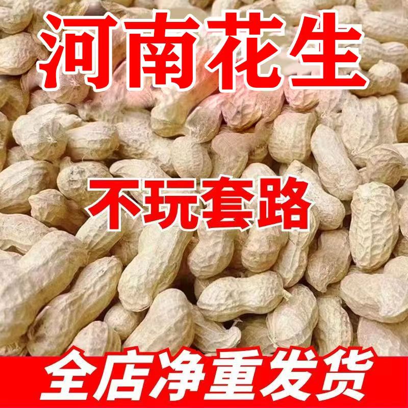 2025年当季自然晒干带壳干花生