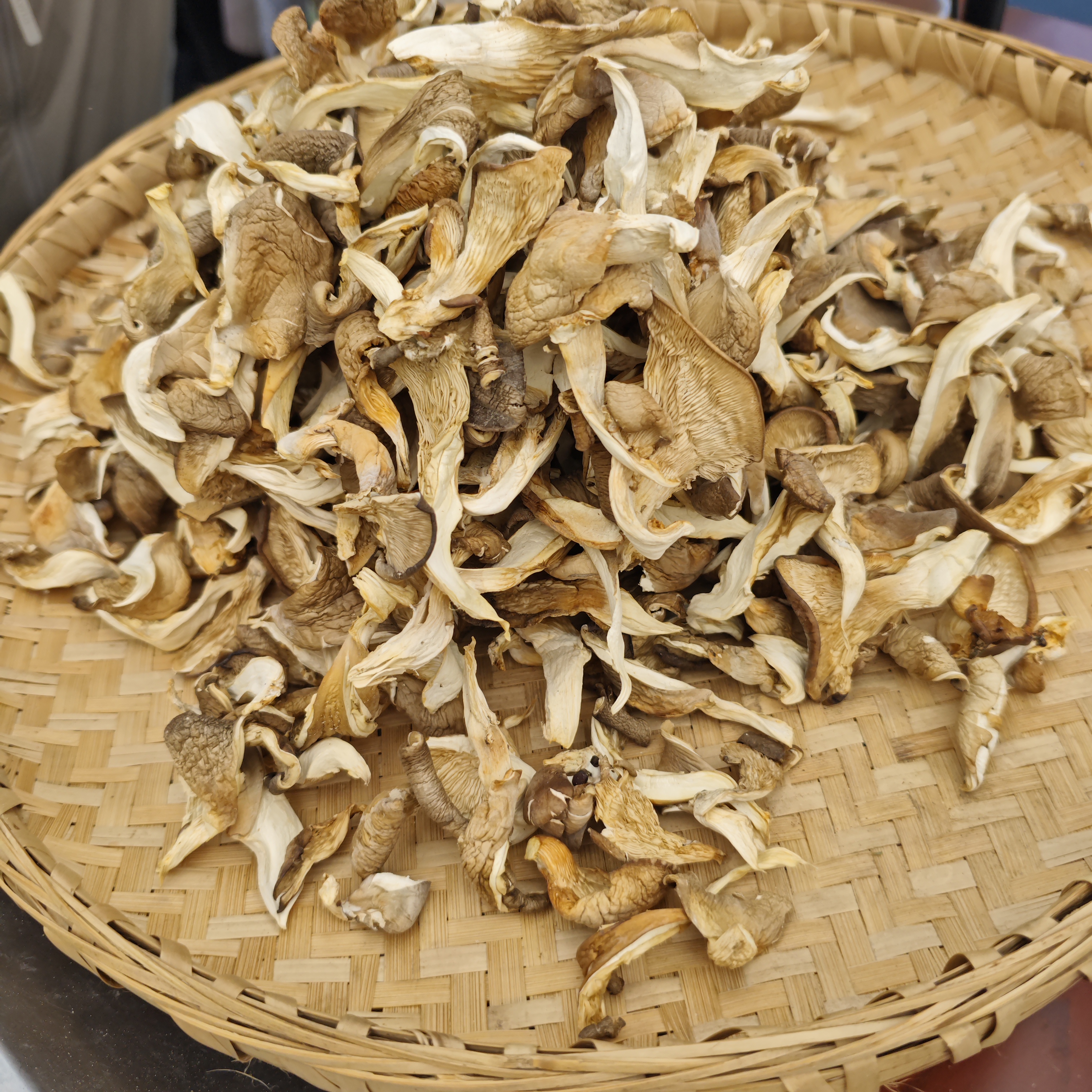 【代买山货】平菇（2）