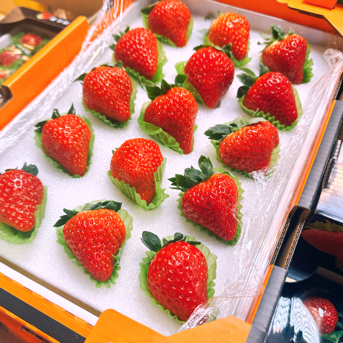 丹东久久超大草莓 香莓单颗 50g 一箱 15 粒 1.7 斤草莓爱马仕